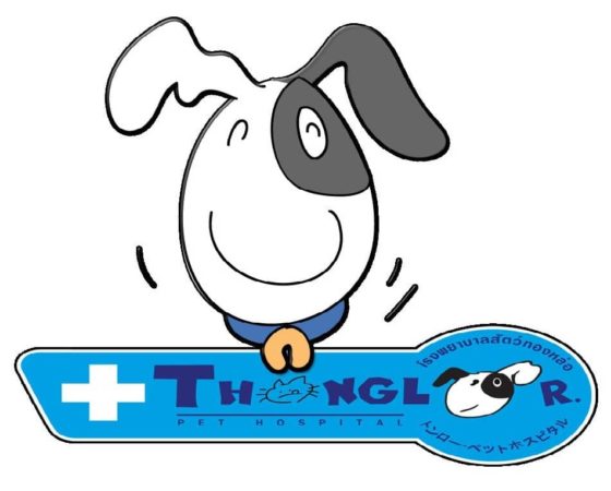 thonglor pet hospital_2
