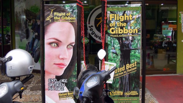 Flug der Gibbons
