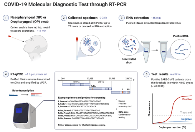 COVID RT-PCR test