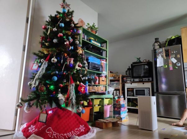 Unser Weihnachtsbaum von Triumph Tree in Bangpoo.