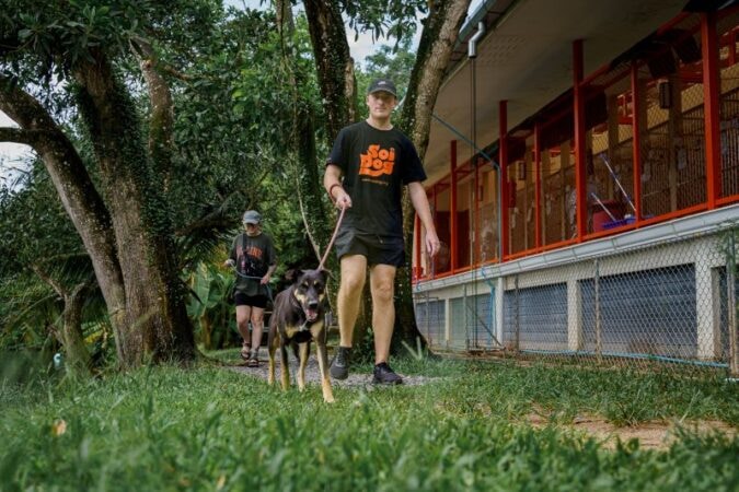 soi-dog-foundation8-18SS_Volunteer-MichiganUniversity-15