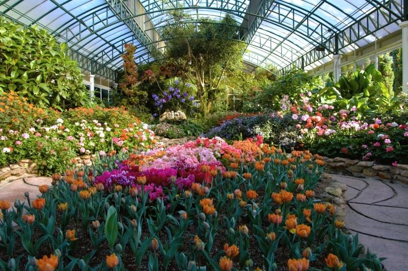 flower gardens in Chiang Mai.