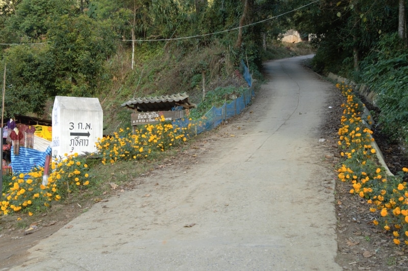 road to Phu Chi Fah in Chiang Rai