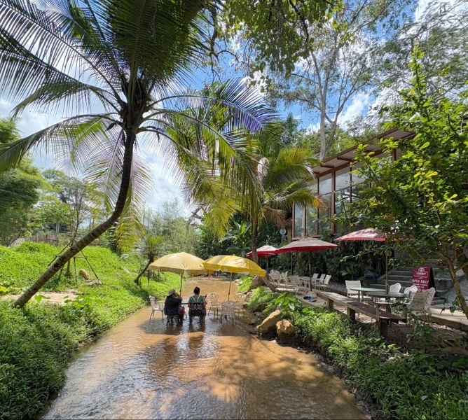 instagrammable Chiang Mai cafes