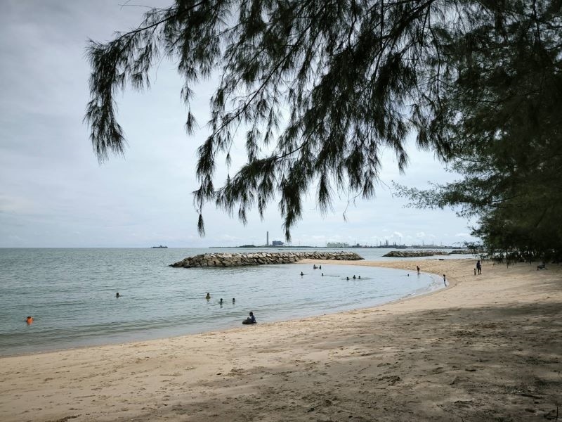 Pine-lined public beach in Rayong
