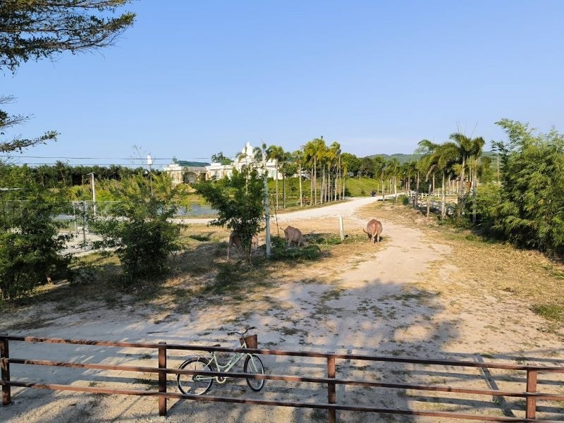 Petting zoo attraction near Rayong