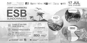 AustCham Joint Chambers ESB Members Briefing & Sundowners