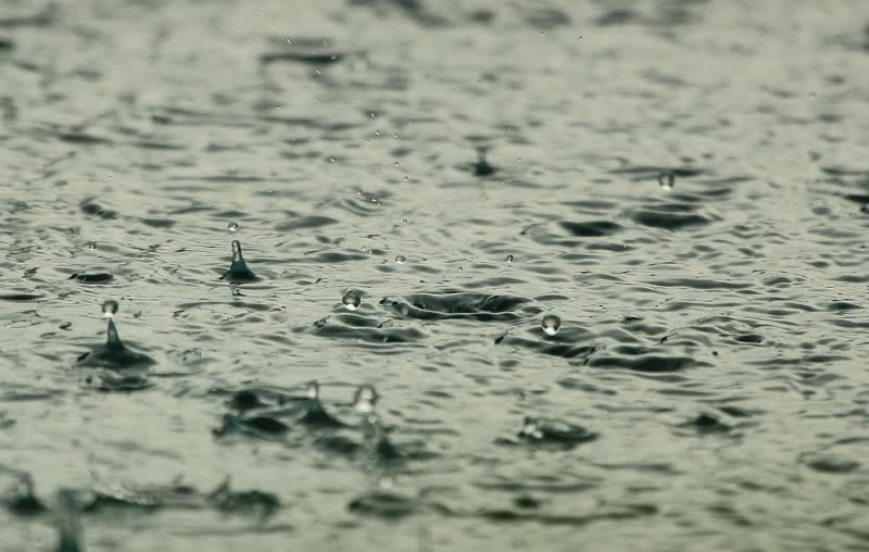 Raindrops splashing into standing water