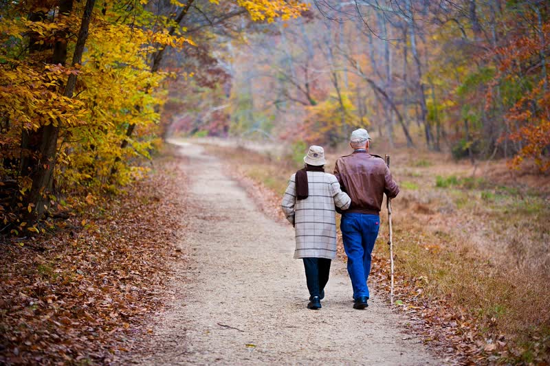 Elderly couple walking arm in arm outdoors