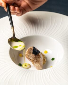 World Gourmet Festival 2026