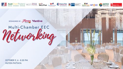 Multi-Chamber EEC Networking Hosted by AMCHAM