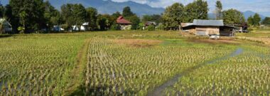 Rice paddies and village houses in Pai, northern Thailand