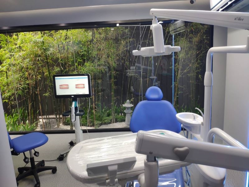 Dental treatment chair facing a bamboo garden at a Bangkok clinic