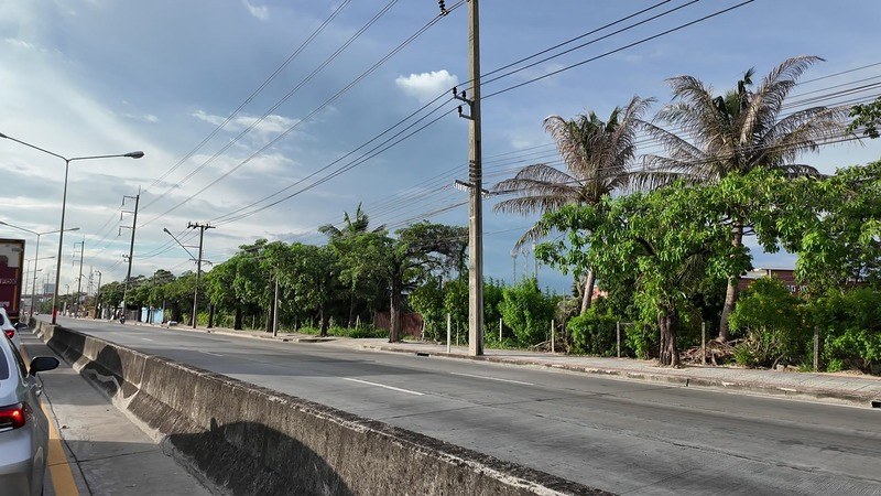 A wide suburban road lined with palm trees and open land on the Rom Klao side of Lat Krabang, Bangkok
