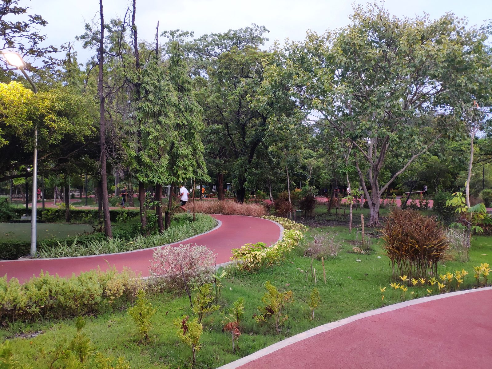 A red running track through a garden in the park around Rajamangala Stadium