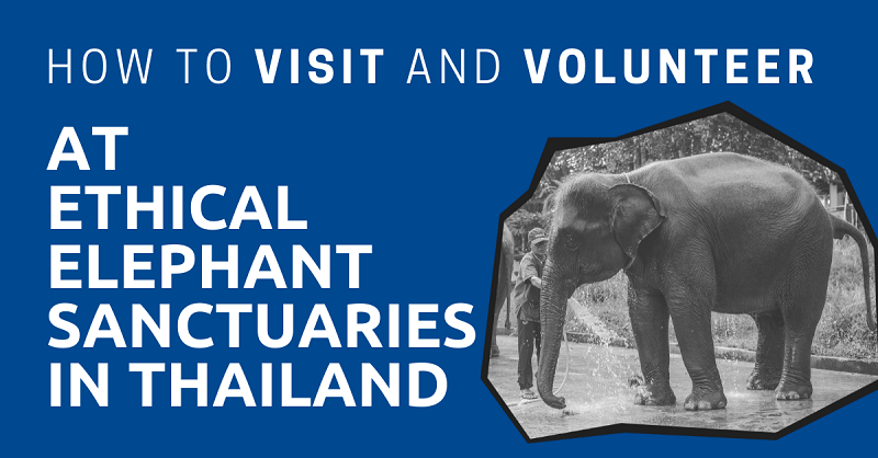 Ethical-Elephant-Sanctuaries-in-Thailand