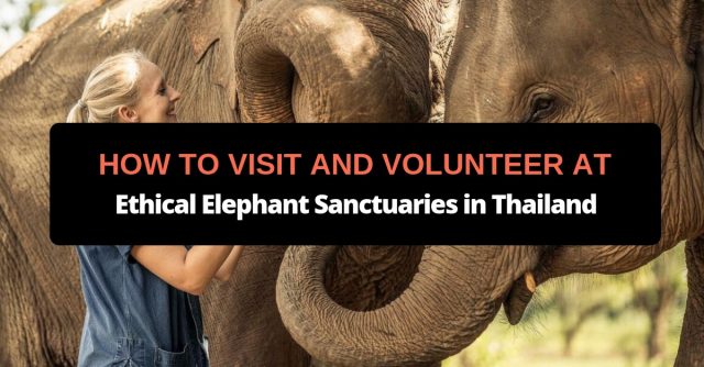 ethical elephant sanctuaries